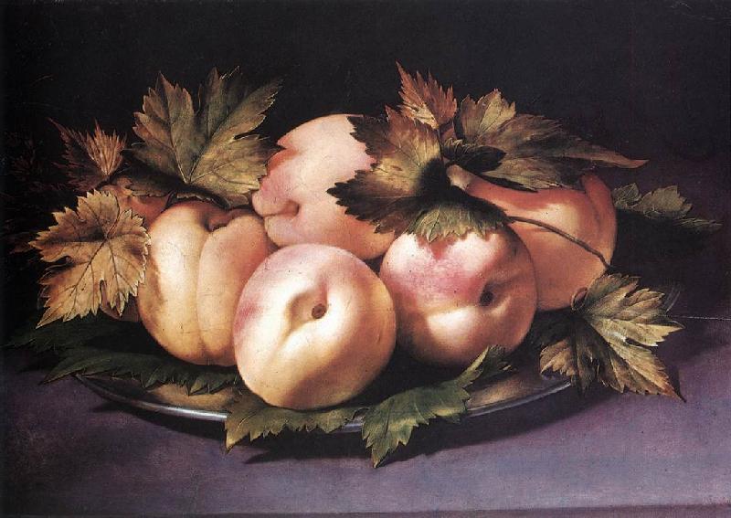  Still-life with Peaches and Fig-leaves fdg